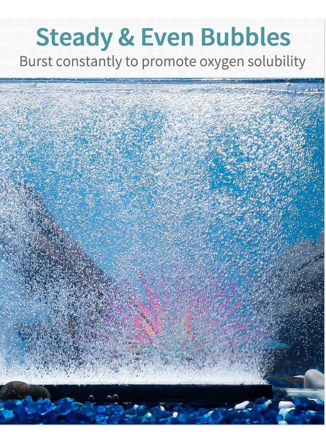 باوفلي أداة توزيع الفقاعات الهوائية من Pawfly Aquarium مقاس 12 بوصة مع مشبك شفط لمضخات الهواء وأنظمة DWC وأحواض الأسماك والبرك الصغيرة في الحدائق - Image 2