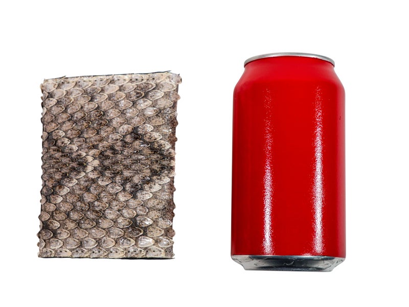 Chichester Inc Genuine Rattlesnake Skin Wallet: Trifold - Image 4