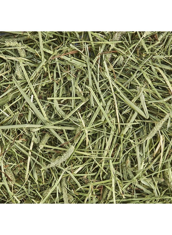 Kaytee All Natural Timothy Hay for Guinea Pigs, Rabbits & Other Small Animals, 2 Pound - Image 1