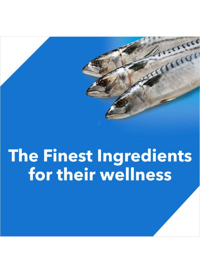 Drools طعام جاف للقطط البالغة - سمك المحيط - Image 5