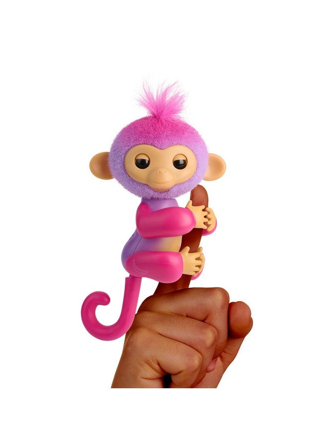فينجر لينجز فينجرلينغز ٢٠٢٣ - قرد صغير تفاعلي جديد يتفاعل مع اللمس - أكثر من ٧٠ صوتًا وتفاعلًا - تشارلي (أرجواني) - Image 1