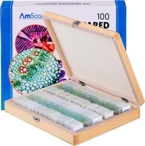 AmScope PS100B Prepared Microscope Slide Set for Basic Biological Science Education 100 Slides Set B Includes Fitted Wooden Case