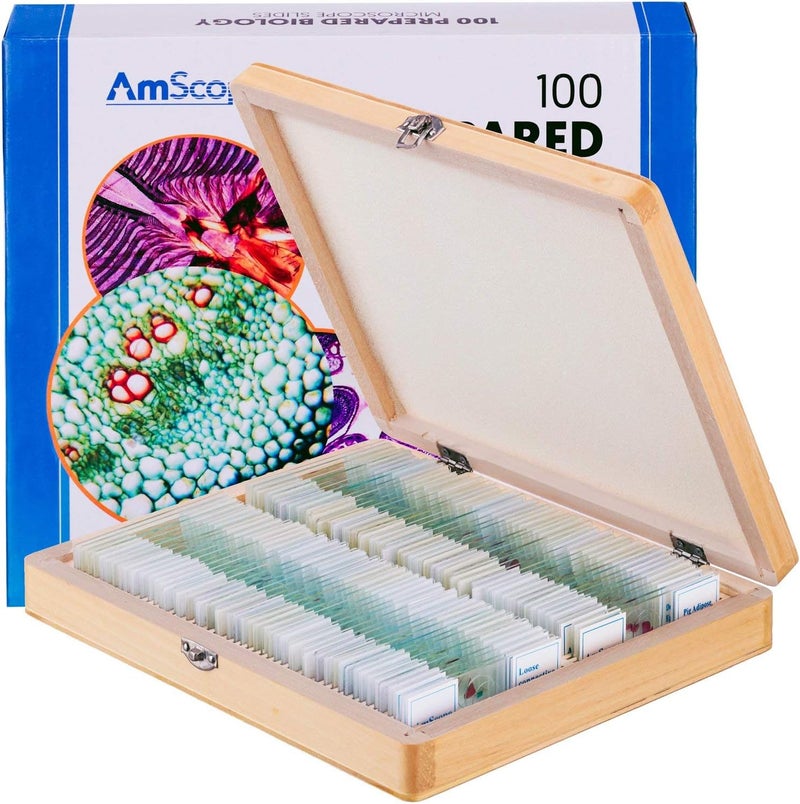 AmScope AmScope PS100B Prepared Microscope Slide Set for Basic Biological Science Education 100 Slides Set B Includes Fitted Wooden Case  - Image 1