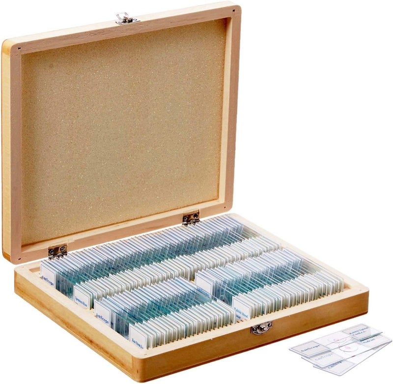 AmScope AmScope PS100B Prepared Microscope Slide Set for Basic Biological Science Education 100 Slides Set B Includes Fitted Wooden Case  - Image 2