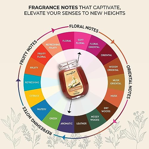 Aromahpure Scented Candle (Set 1) (42 hrs) (100% Soy Wax)- Handcrafted | Smoke-Free | Vanilla Fantasy- Vanilla Fragrance Candles for Home & Gift Sets, IFRA Certified - Image 3