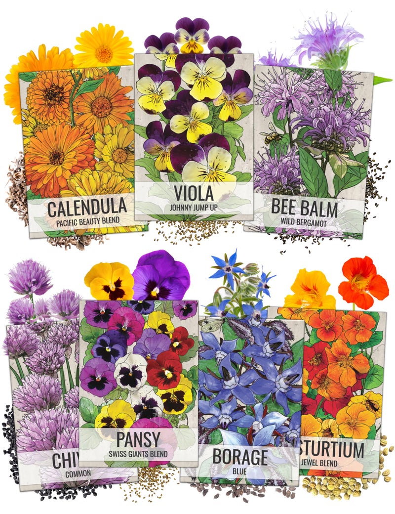 Seed Needs, Edible Wildflower Seed Packet Collection (7 Varieties of Flower Seed for Planting) Non-GMO & Untreated - Includes Viola, Pansies, Chives, Borage, Calendula, Nasturtium and Bee Balm - Image 1