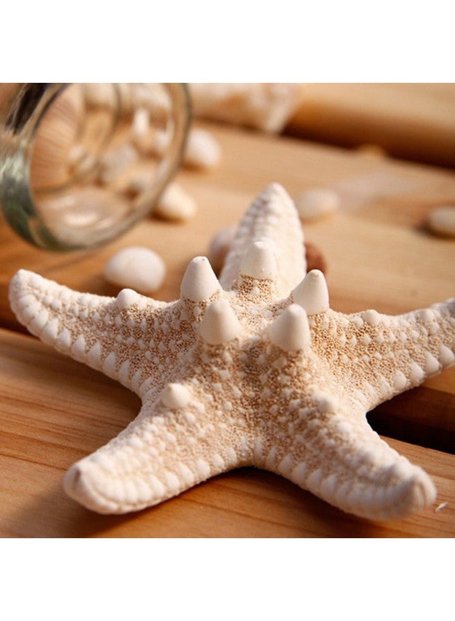 Frcolor 2PCS Starfish Hair Clip Handmade Natural Sea Star Hair Pins Cute Headwear for Girls Women, Random Size - Image 3