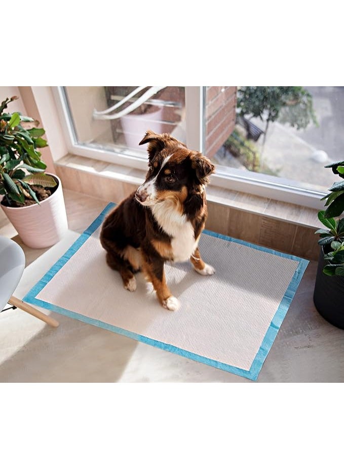 كادراما فوط تبول للكلاب والجراء، فوط تدريب حفاضات للاستخدام مرة واحدة، 5 طبقات مانعة للتسرب فائقة الامتصاص، سطح سريع الجفاف، بطانات حفاضات للحيوانات الأليفة، مثالية لتدريب الجراء والقطط والأرانب أو رعاية الكلاب المسنة، أزرق + أبيض (20 قطعة، المقاس: 60 × 90) - Image 3