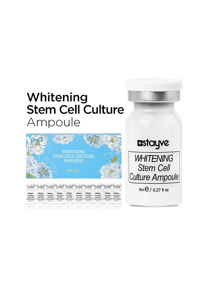 STAYVE DERMAWHITE BOOSTER Starter KIT لعلاج BB توهج تبييض ثقافة الخلايا الجذعية أمبولة 1x8ML - Image 2