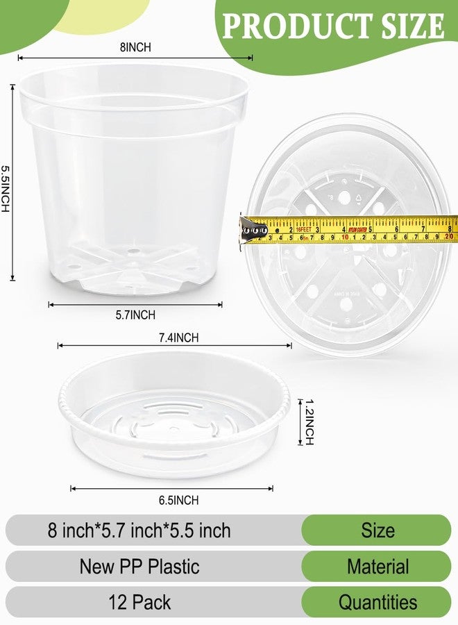 RooTrimmer 12 Pack 8 Inch Clear Plant Pots with Saucers, Transparent Plastic Nursery Pots with Drainage Hole, Sturdy Garden Planter Pots, Planting Starter Pots for Indoor Outdoor - Image 2