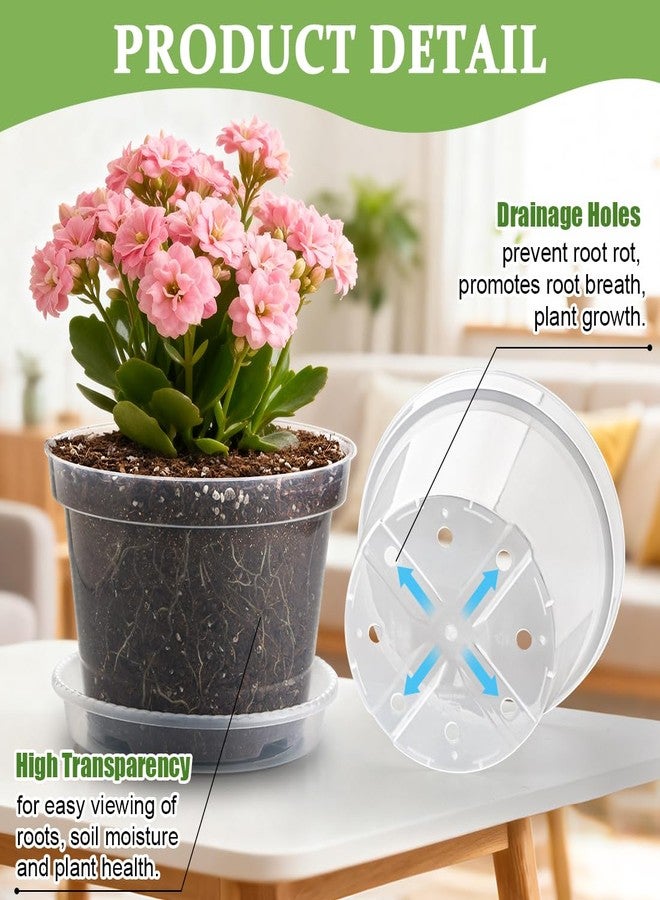 RooTrimmer 12 Pack 8 Inch Clear Plant Pots with Saucers, Transparent Plastic Nursery Pots with Drainage Hole, Sturdy Garden Planter Pots, Planting Starter Pots for Indoor Outdoor - Image 3