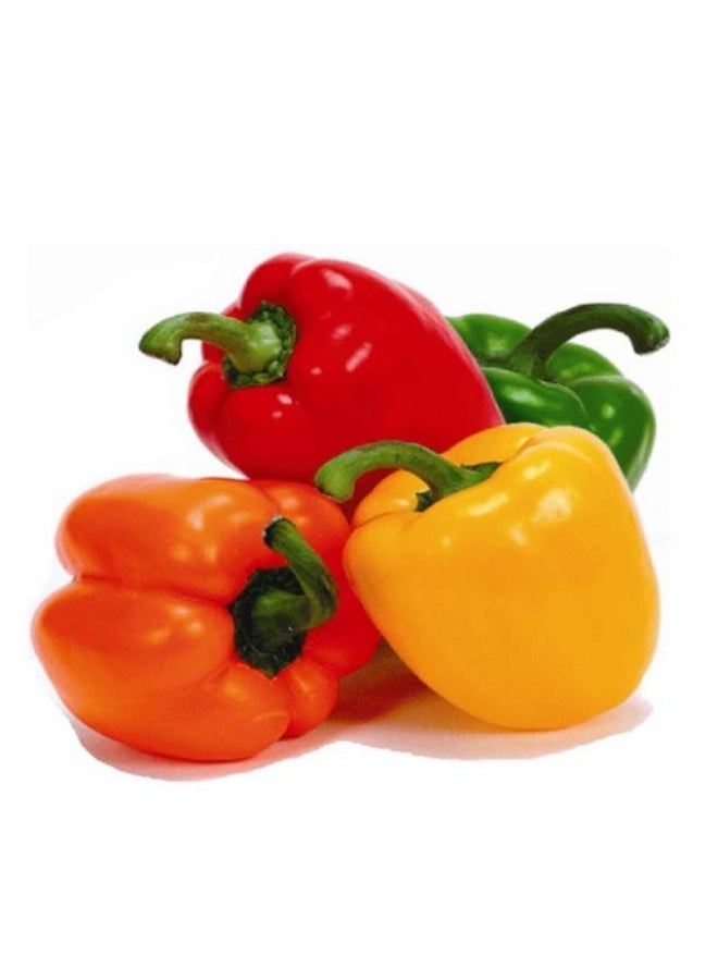 Mixed Capsicums , 4 pieces per pack, Netherlands