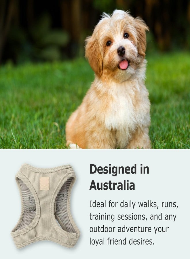 FuzzYard Life Corduroy Step in Dog Harness | Size XXS | Stylish Premium Corduroy Design in Sandstone Perfect for Everyday Walks - Image 2