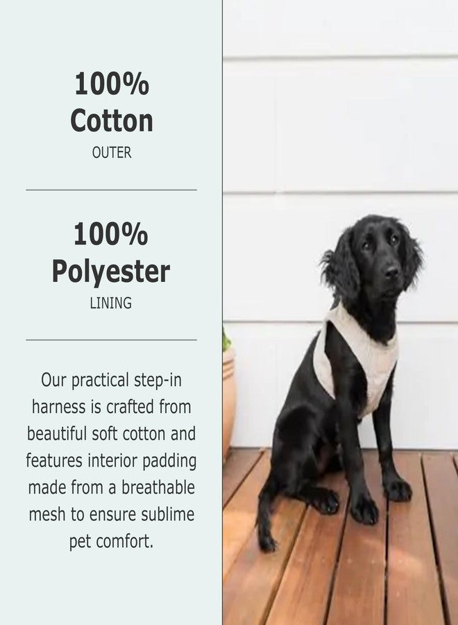 FuzzYard Life Corduroy Step in Dog Harness | Size XXS | Stylish Premium Corduroy Design in Sandstone Perfect for Everyday Walks - Image 3