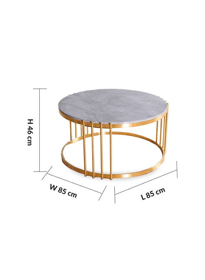 DANUBE HOME Armadillo Coffee Table Multifunctional Living Room Table Space Saving Center Table Modern Design Furniture For Home 85x85x46 cm Grey/Gold  - Image 5