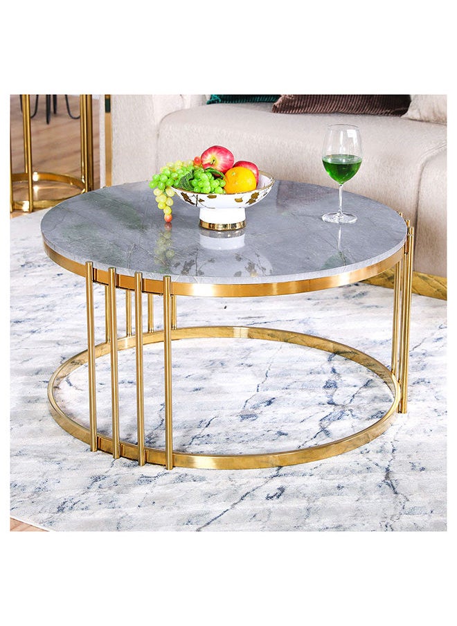 DANUBE HOME Armadillo Coffee Table Multifunctional Living Room Table Space Saving Center Table Modern Design Furniture For Home 85x85x46 cm Grey/Gold  - Image 2