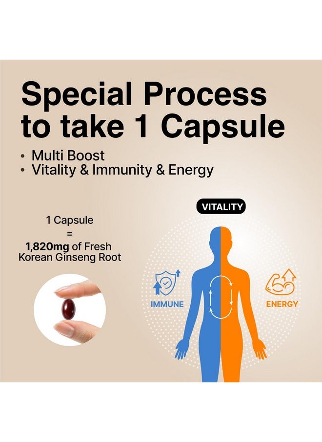 [Korean Red Ginseng Extract Capsules Plus Allin1 Focus Pills For Men & Women Natural Energy Supplements Circulation Immune Support Brain Booster 30 Capsules