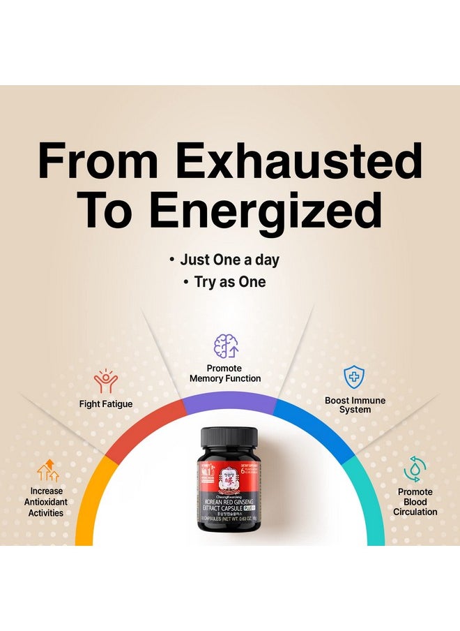 [Korean Red Ginseng Extract Capsules Plus Allin1 Focus Pills For Men & Women Natural Energy Supplements Circulation Immune Support Brain Booster 30 Capsules