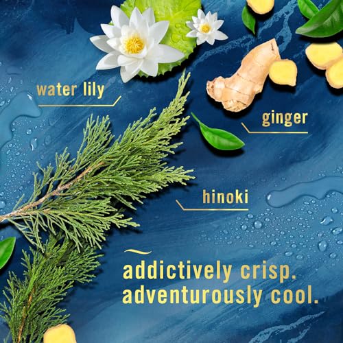 Febreze Plug In Air Freshener, Odor-Fighting Scented Oil Refill, Air Fresheners for Home and Bathroom and Kitchen, Long Lasting for Strong Odors, Ocean Scent, 0.87oz Refills, 3 Count - Image 3