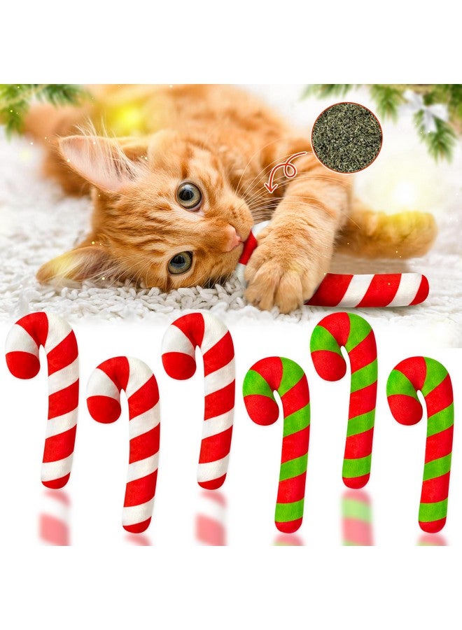 مول مول 6 MALLMALL6 6 قطع من ألعاب حلوى عيد الميلاد على شكل عصا النعناع البري هدية للقطط، ألعاب مضغ وعضة وركل للقطط داخل المنزل للحيوانات الأليفة بنكهة النعناع البري، مستلزمات لمحبي القطط وهدايا عيد الميلاد، لعبة قطط تفاعلية لطيفة كهدايا للحيوانات الأليفة - Image 1
