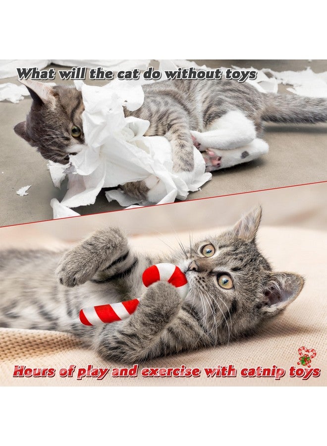 مول مول 6 MALLMALL6 6 قطع من ألعاب حلوى عيد الميلاد على شكل عصا النعناع البري هدية للقطط، ألعاب مضغ وعضة وركل للقطط داخل المنزل للحيوانات الأليفة بنكهة النعناع البري، مستلزمات لمحبي القطط وهدايا عيد الميلاد، لعبة قطط تفاعلية لطيفة كهدايا للحيوانات الأليفة - Image 5