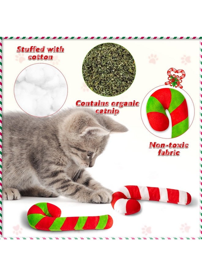 مول مول 6 MALLMALL6 6 قطع من ألعاب حلوى عيد الميلاد على شكل عصا النعناع البري هدية للقطط، ألعاب مضغ وعضة وركل للقطط داخل المنزل للحيوانات الأليفة بنكهة النعناع البري، مستلزمات لمحبي القطط وهدايا عيد الميلاد، لعبة قطط تفاعلية لطيفة كهدايا للحيوانات الأليفة - Image 3