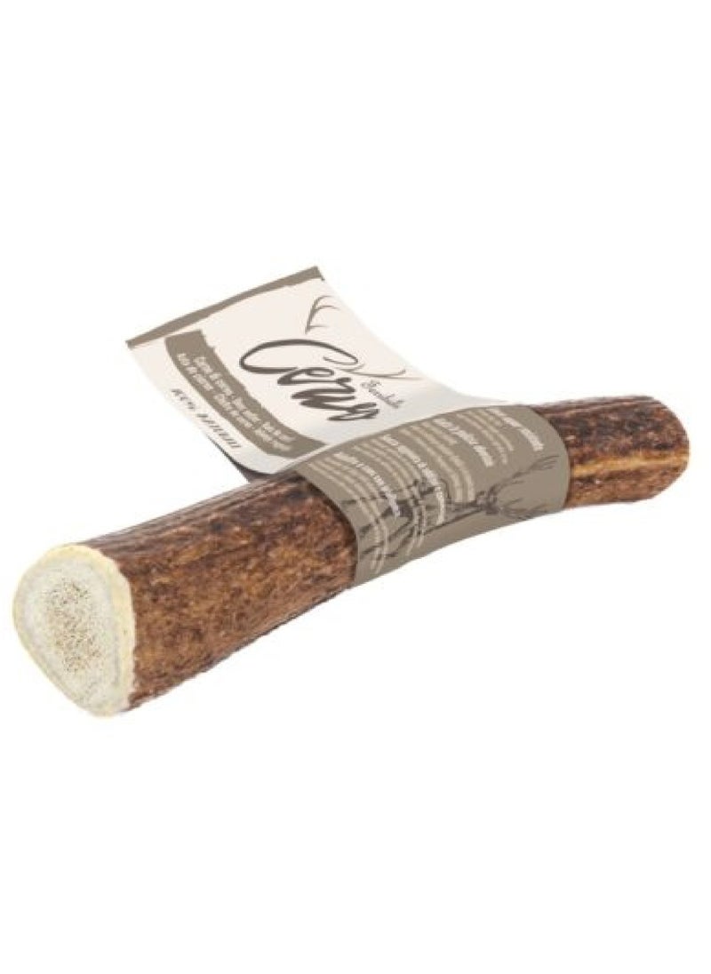 Ferribiella Deer Antler Medium Dog Chew Treat (50-75g)  - Image 1