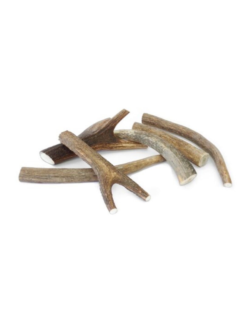 Ferribiella Deer Antler Medium Dog Chew Treat (50-75g)  - Image 2