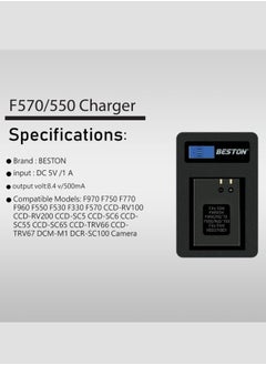 BESTON Beston Charger for Sony F550: Charger tailored for Sony F550 batteries, offering quick and convenient power replenishment for compatible devices.  - Image 2