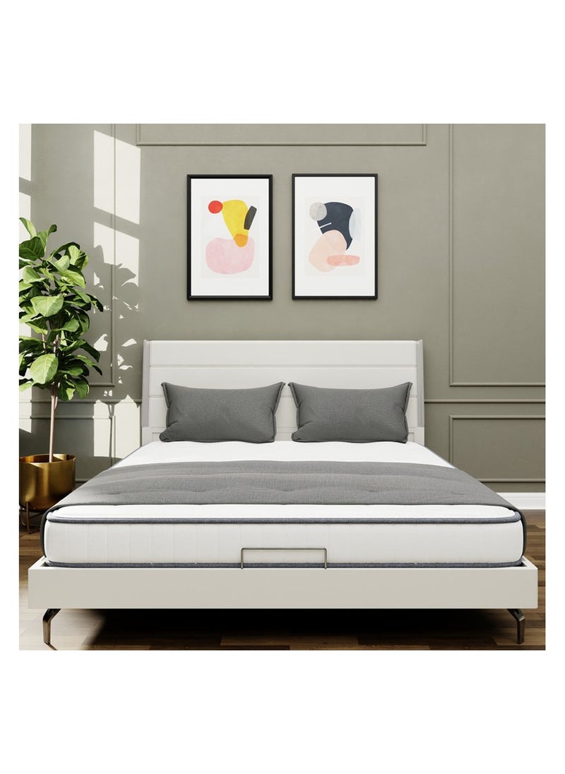 ROYALOAK Royaloak Oliver Queen Size Bed | MDF Construction | Queen-Size Bed | Leatherette Upholstery | Elegant High-Gloss Finish | Modern Design | Durable & Long-lasting  - Image 2