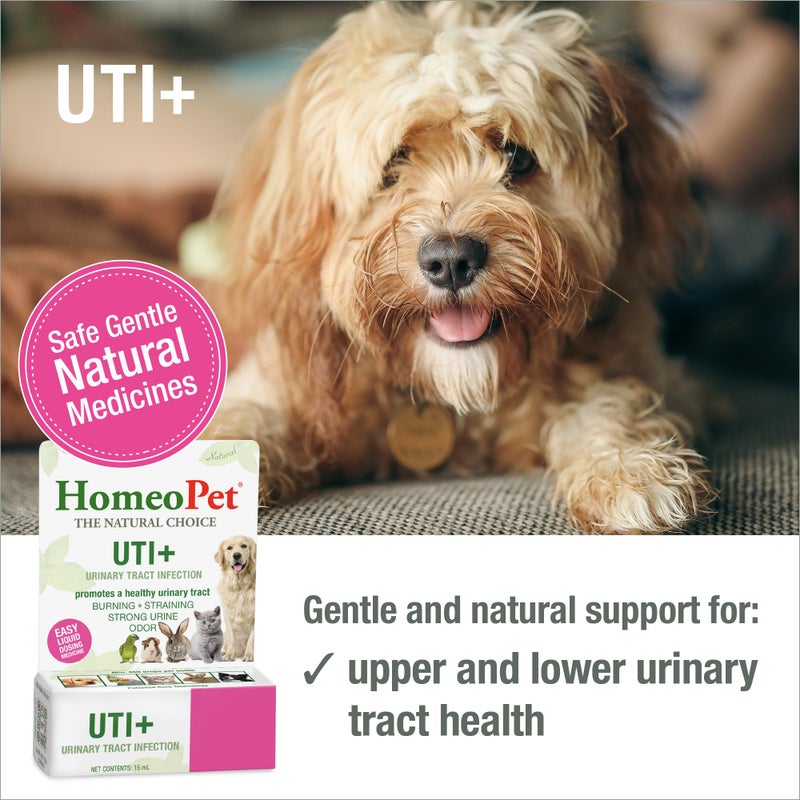 HomeoPet UTI Plus Urinary-Tract Relief, Supportive UTI Medicine for Dogs, Cats, and Other Pets, 15 ml - Image 2