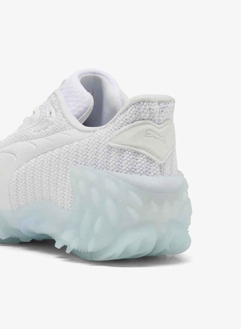 بوما موسترو