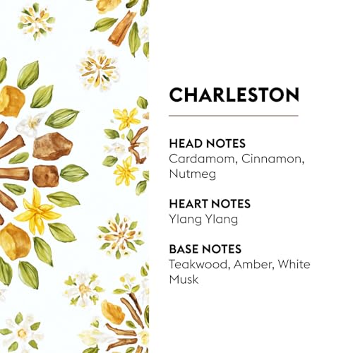 Maison Berger Charleston - Lampe Berger Fragrance Refill for Home Fragrance Oil Diffuser - 33.8 Fluid Ounces - 1 Liter - Image 2