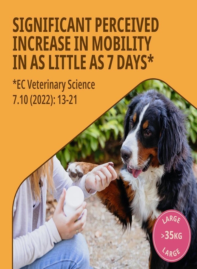 Virbac MOVOFLEX Joint Supplement for Large Dogs of (Above 35 kg)|| (30 Chews) - Image 2