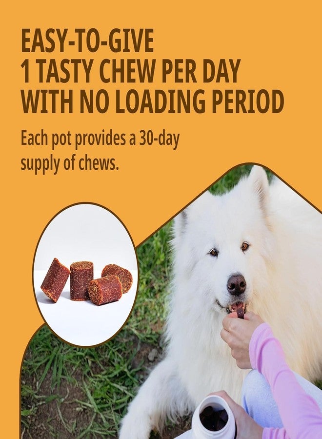 Virbac MOVOFLEX Joint Supplement for Large Dogs of (Above 35 kg)|| (30 Chews) - Image 3