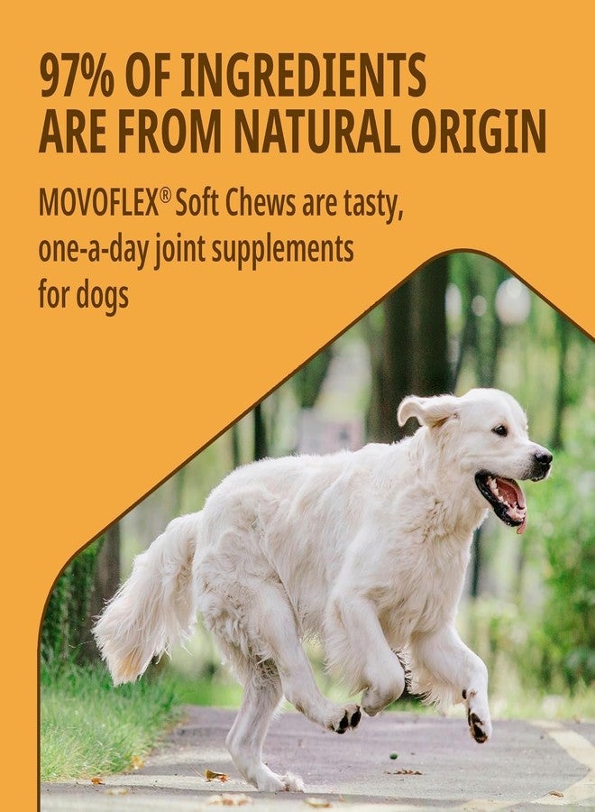 Virbac MOVOFLEX Joint Supplement for Large Dogs of (Above 35 kg)|| (30 Chews) - Image 5