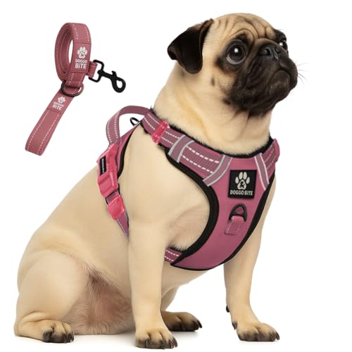 Doggo Bite Premium Reflective Dog Vest Harness| Soft Breathable| Padded Handle| Adjustable Straps & Luxury Buckle| No-Choke with Free Designer Leash-19mm| Chest (22-28inch) All Small Breeds 4-13Kg - Image 1