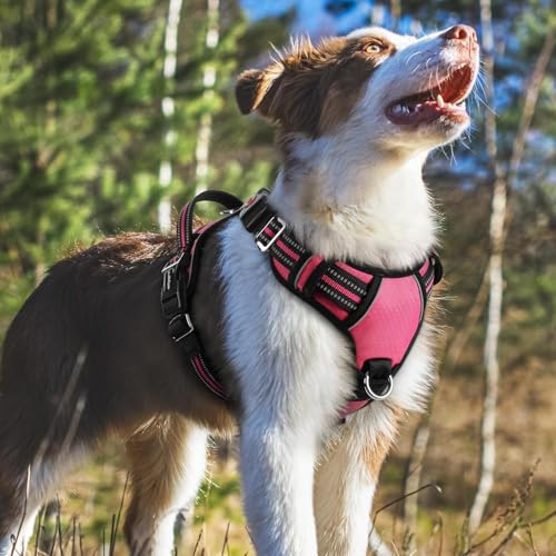 Doggo Bite Premium Reflective Dog Vest Harness| Soft Breathable| Padded Handle| Adjustable Straps & Luxury Buckle| No-Choke with Free Designer Leash-19mm| Chest (22-28inch) All Small Breeds 4-13Kg - Image 5