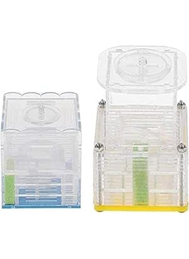 Ant Farm Castle Habitat with Transparent View Easy to Install Ant Nest for Kids - Image 1