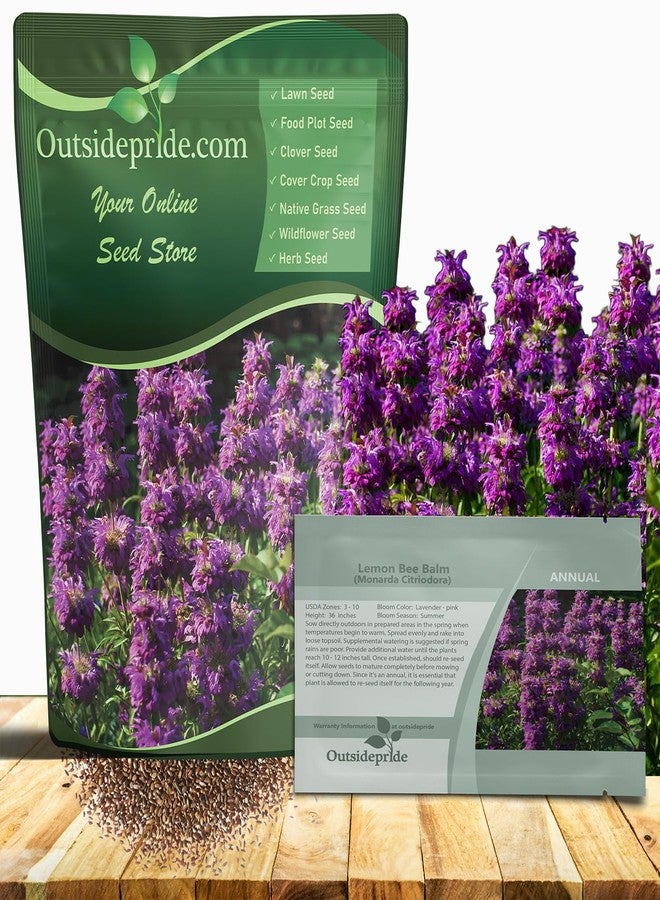 Outsidepride Lemon Bee Balm Seeds - 5000 Pcs Annual, Easy to Grow & Pollinator Friendly Monarda Citriodora Flower Seeds for Planting Fragrant Lavender Pink Blooms, Ideal for Teas & Potpourri - Image 1