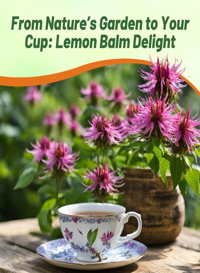 Outsidepride Lemon Bee Balm Seeds - 5000 Pcs Annual, Easy to Grow & Pollinator Friendly Monarda Citriodora Flower Seeds for Planting Fragrant Lavender Pink Blooms, Ideal for Teas & Potpourri - Image 5