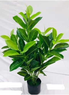 Generic Tabletop Artificial Plant With Vase Green 80CM 