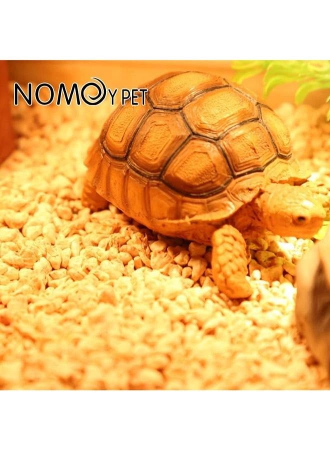 كوز ذرة نوموي NC 05 - Image 1