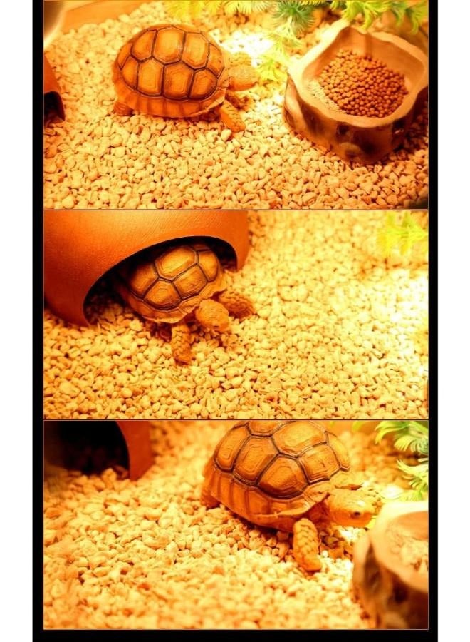 كوز ذرة نوموي NC 05 - Image 4