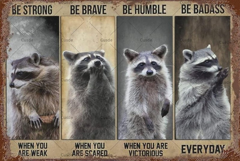 Cusde Vintage Wall Decor Raccoon Poster Motivational Quote Vintage Wall Art Home Decor Retro Tin Signs Kitchen Decor Vintage Metal Tin Sign Wall Decor for Bars Restaurant Cafes 8x12 inch - Image 1