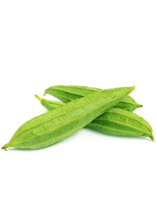 Turai , Ridge Gourd- 2 to 3 pieces , India