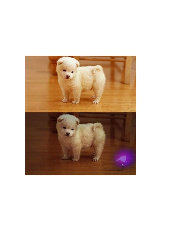 Spaceshoop Uv Led Flashlight 51 Leds 395nm Ultra Violet Torch Light Lamp Blacklight Detector for Dog Urine Pet Stains and Bed Bug  - Image 2