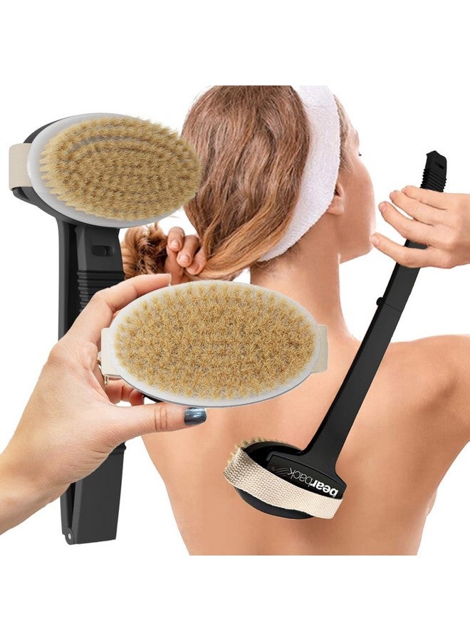 bearback Dry Brushing Body Brush With Natural Bristles - Premium Exfoliating Brush For Shower Or Dry Brushing | Long Folding Handle, Removable Brush Head - Image 1