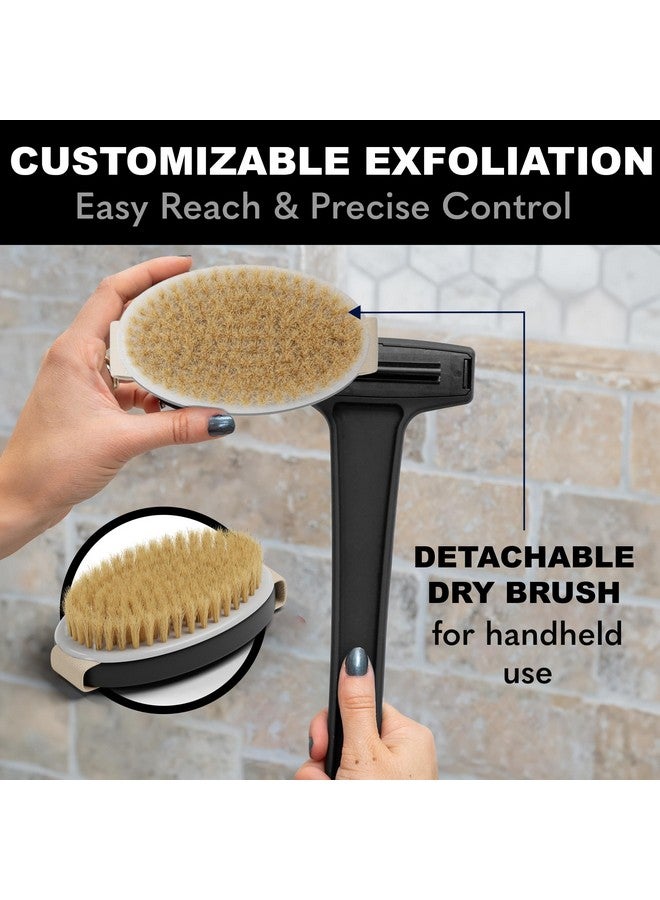 bearback Dry Brushing Body Brush With Natural Bristles - Premium Exfoliating Brush For Shower Or Dry Brushing | Long Folding Handle, Removable Brush Head - Image 3