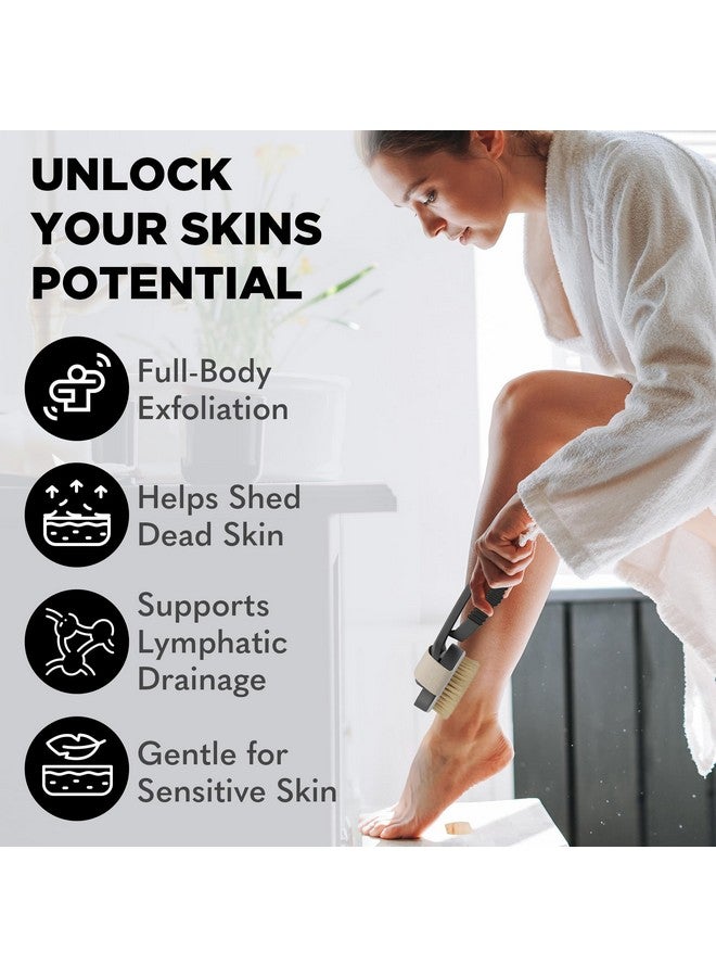bearback Dry Brushing Body Brush With Natural Bristles - Premium Exfoliating Brush For Shower Or Dry Brushing | Long Folding Handle, Removable Brush Head - Image 5